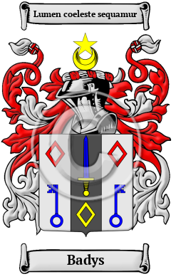 Badys Family Crest/Coat of Arms