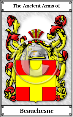 Beauchesne Family Crest Download (JPG)  Book Plated - 150 DPI