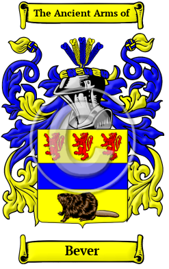 Bever Name Meaning, Family History, Crest Coats of Arms