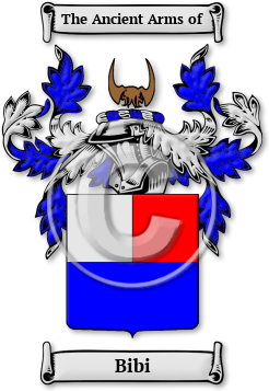 Bibi Family Crest Download (jpg) Legacy Series - 150 DPI