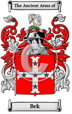 Bek Family Crest Download (JPG) Heritage Series - 600 DPI
