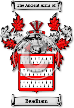 Beadham Family Crest Download (jpg) Legacy Series - 150 DPI