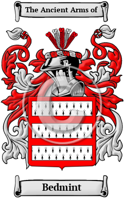Bedmint Family Crest Download (JPG) Heritage Series - 600 DPI