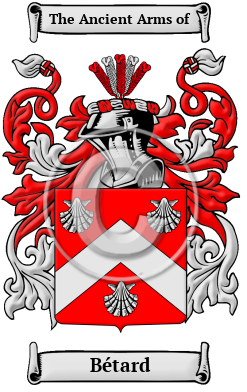 Bétard Family Crest/Coat of Arms