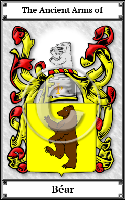 Béar Family Crest Download (JPG)  Book Plated - 150 DPI