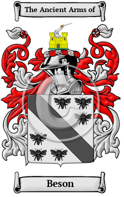 Beson Family Crest Download (JPG) Heritage Series - 600 DPI