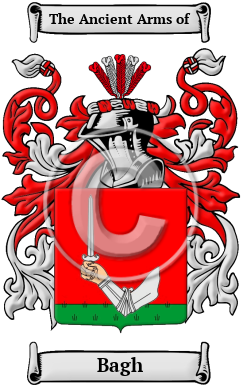 Bagh Family Crest Download (JPG) Heritage Series - 600 DPI