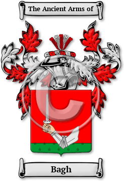 Bagh Family Crest Download (JPG) Legacy Series - 300 DPI