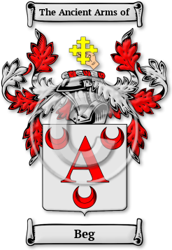 Beg Family Crest Download (jpg) Legacy Series - 150 DPI