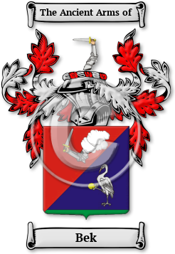 Bek Family Crest Download (JPG) Legacy Series - 300 DPI