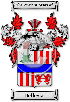Bellevia Family Crest Download (JPG) Legacy Series - 600 DPI