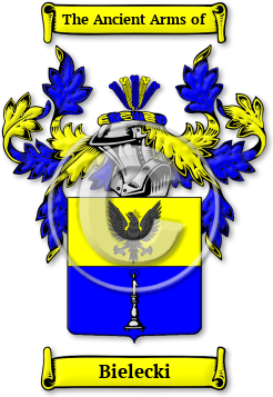 Bielecki Family Crest Download (jpg) Legacy Series - 150 DPI