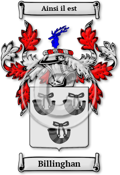 Billinghan Family Crest Download (JPG) Legacy Series - 600 DPI