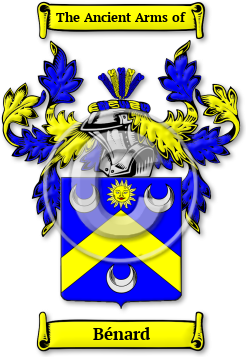 Bénard Family Crest Download (jpg) Legacy Series - 150 DPI