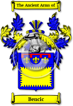 Bencic Family Crest Download (jpg) Legacy Series - 150 DPI