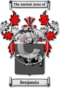 Benjamín Family Crest Download (jpg) Legacy Series - 150 DPI