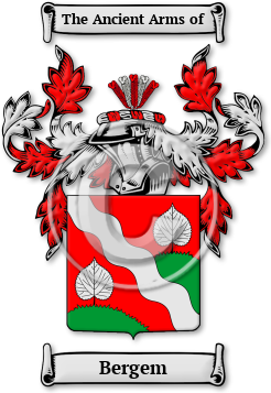 Bergem Family Crest Download (jpg) Legacy Series - 150 DPI