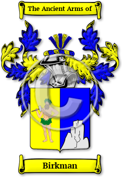 Birkman Family Crest Download (JPG) Legacy Series - 600 DPI