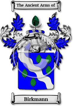 Birkmann Family Crest Download (jpg) Legacy Series - 150 DPI