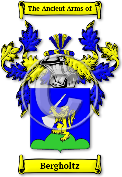 Bergholtz Family Crest Download (jpg) Legacy Series - 150 DPI