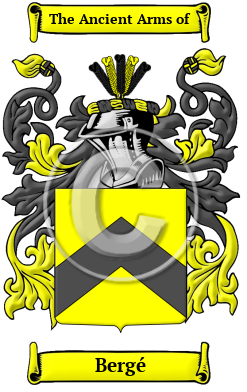 Bergé Family Crest Download (JPG) Heritage Series - 300 DPI