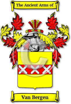 Van Bergen Family Crest Download (jpg) Legacy Series - 150 DPI