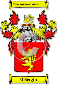 O'Bergin Family Crest Download (jpg) Legacy Series - 150 DPI