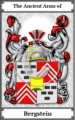 Bergstein Family Crest Download (JPG)  Book Plated - 150 DPI