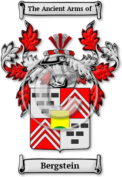 Bergstein Family Crest Download (jpg) Legacy Series - 150 DPI