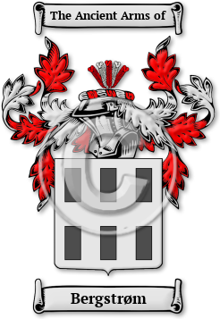 Bergstrøm Family Crest Download (JPG) Legacy Series - 600 DPI