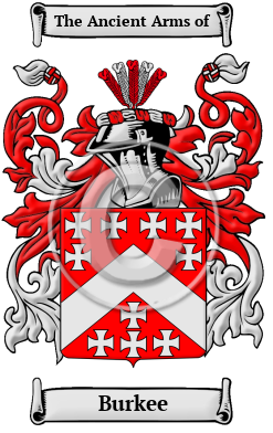 Burkee Family Crest/Coat of Arms