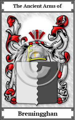 Bremingghan Family Crest Download (JPG)  Book Plated - 150 DPI