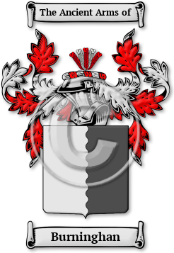 Burninghan Family Crest Download (JPG) Legacy Series - 300 DPI