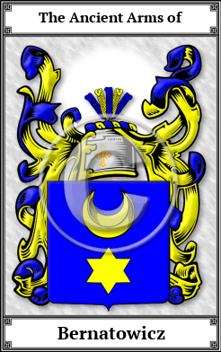 Bernatowicz Family Crest Download (JPG) Book Plated - 600 DPI