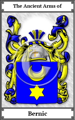 Bernic Family Crest Download (JPG) Book Plated - 600 DPI
