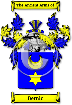 Bernic Family Crest Download (JPG) Legacy Series - 600 DPI