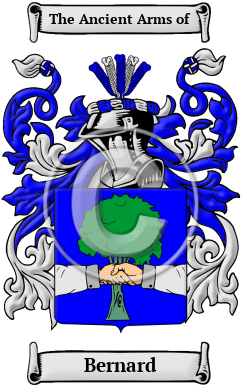 Bernard Family Crest Download (JPG) Heritage Series - 600 DPI