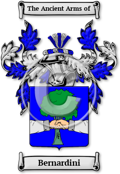 Bernardini Family Crest Download (jpg) Legacy Series - 150 DPI