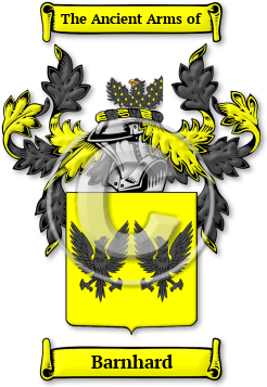 Barnhard Family Crest Download (JPG) Legacy Series - 600 DPI