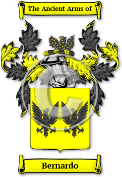Bernardo Family Crest Download (jpg) Legacy Series - 150 DPI