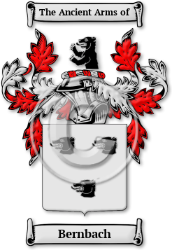 Bernbach Family Crest Download (jpg) Legacy Series - 150 DPI