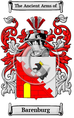 Barenburg Family Crest/Coat of Arms