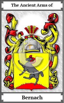 Bernach Family Crest Download (JPG)  Book Plated - 150 DPI