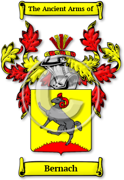 Bernach Family Crest Download (jpg) Legacy Series - 150 DPI