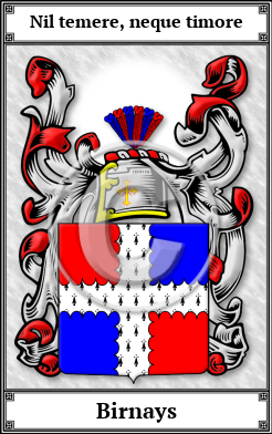 Birnays Family Crest Download (JPG)  Book Plated - 150 DPI