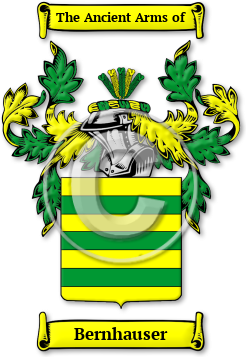 Bernhauser Family Crest Download (jpg) Legacy Series - 150 DPI