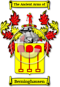 Berninghausen Family Crest Download (jpg) Legacy Series - 150 DPI