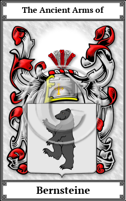 Bernsteine Family Crest Download (JPG)  Book Plated - 150 DPI