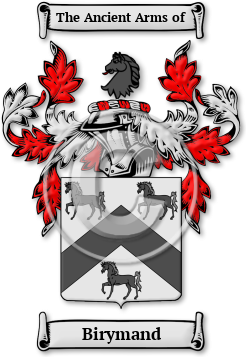 Birymand Family Crest Download (jpg) Legacy Series - 150 DPI