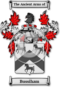 Bussiham Family Crest Download (jpg) Legacy Series - 150 DPI
